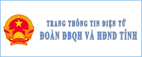 Đoàn ĐBQH&HĐND tỉnh